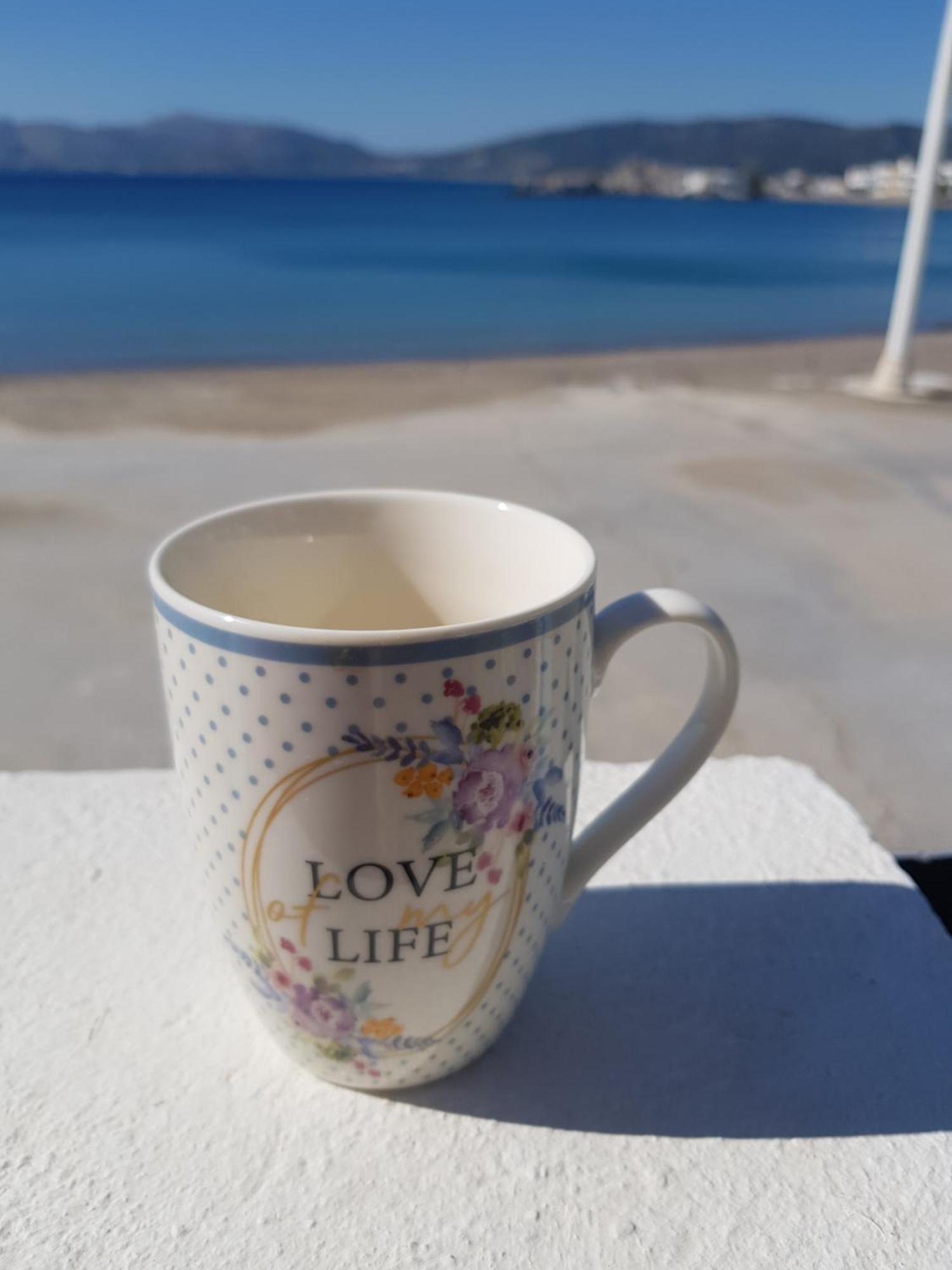 Haraki Mare Studios Beach Front Eksteriør billede