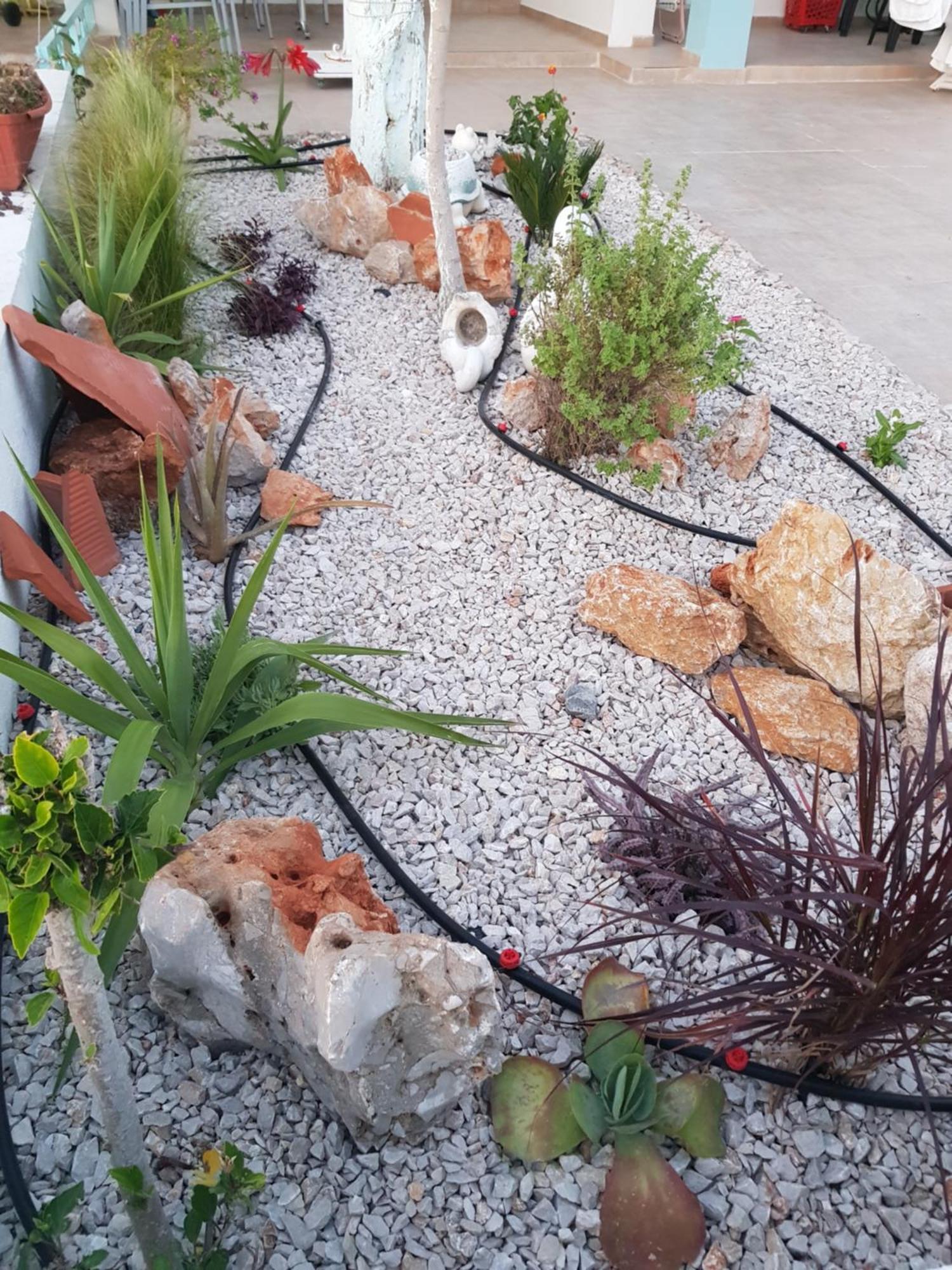 Haraki Mare Studios Beach Front Eksteriør billede