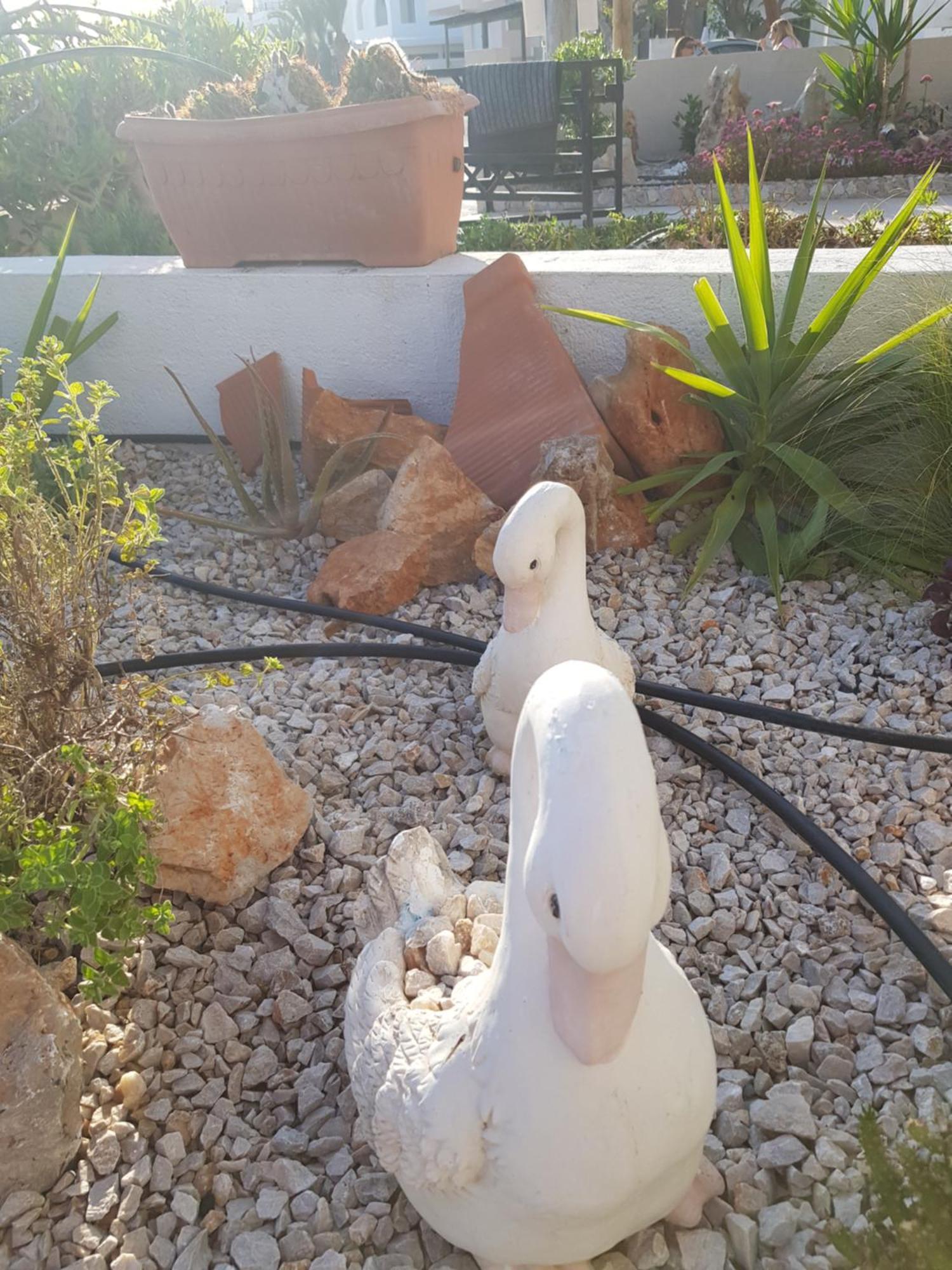 Haraki Mare Studios Beach Front Eksteriør billede